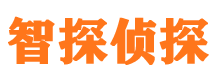 老城市私家侦探